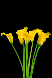 Similar image 7821576