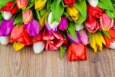 Similar image 7821579