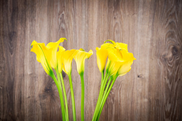 Similar image 7821602