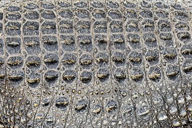 Similar image 7821720