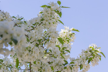 Similar image 7821785