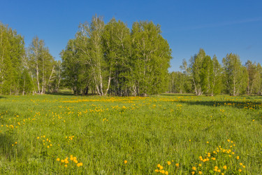 Similar image 7821787