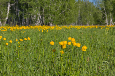 Similar image 7821788