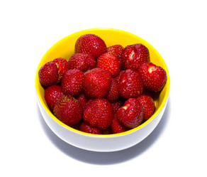 Similar image 7822640