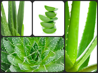 Similar image 7823823