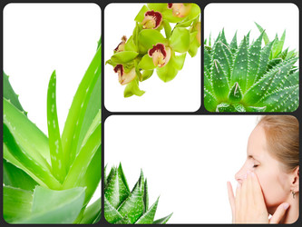 Similar image 7823863