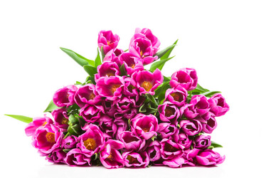 Similar image 7823945