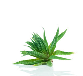 Similar image 7823966