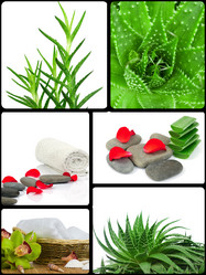 Similar image 7823967