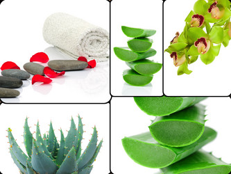 Similar image 7823969