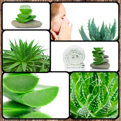 Similar image 7823973