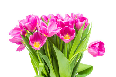 Similar image 7823975