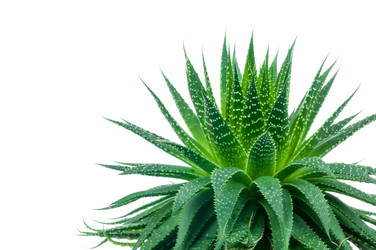 Similar image 7823982