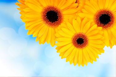 Similar image 7823983