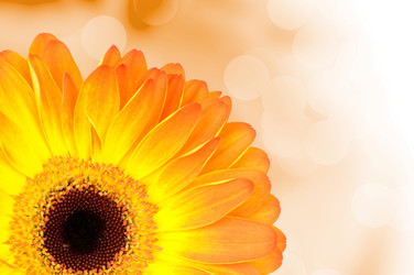 Similar image 7823984