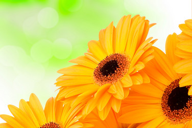 Similar image 7823987