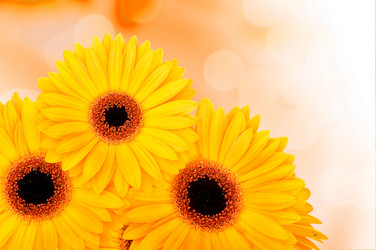 Similar image 7823988