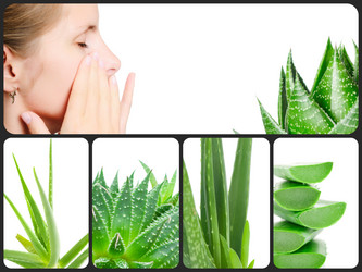 Similar image 7823990