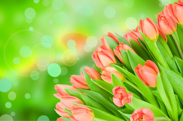 Similar image 7823991