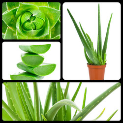 Similar image 7823992