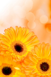 Similar image 7823993