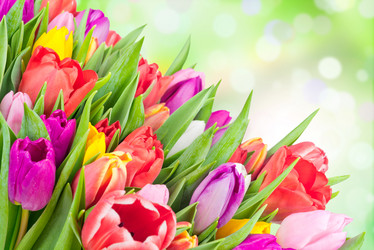 Similar image 7824024