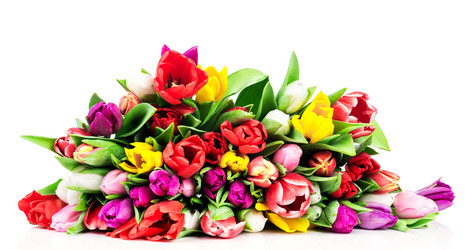 Similar image 7824025