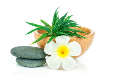 Similar image 7824027