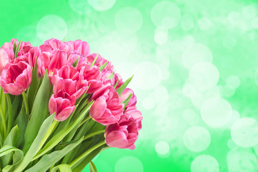 Similar image 7824038