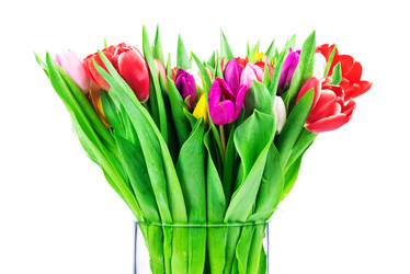 Similar image 7824041