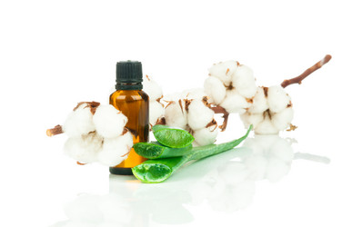 Similar image 7824043