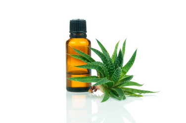 Similar image 7824044