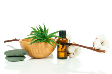 Similar image 7824045