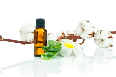 Similar image 7824046