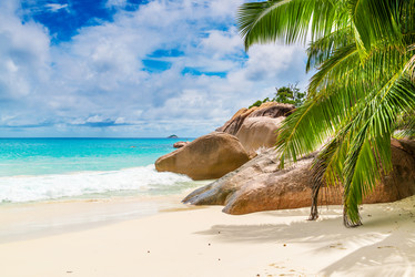 Similar image 7824067