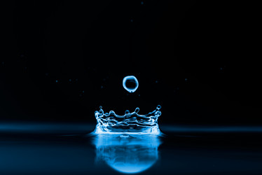 Similar image 7824088