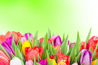 Similar image 7824096