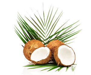 Similar image 7824099