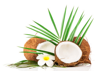 Similar image 7824106