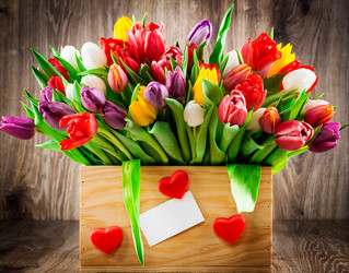 Similar image 7824109