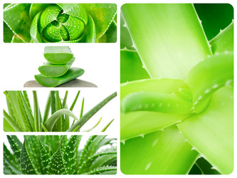 Similar image 7824114