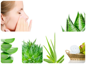 Similar image 7824115