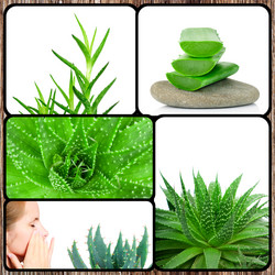 Similar image 7824122