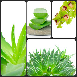 Similar image 7824123