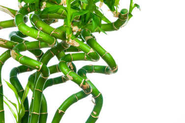 Similar image 7824130