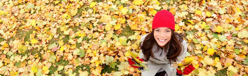 Similar image 7824209