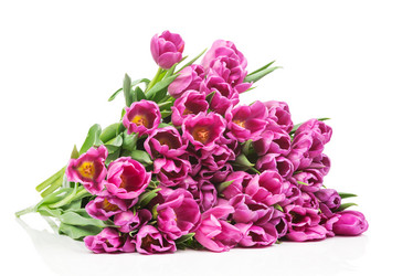 Similar image 7824398