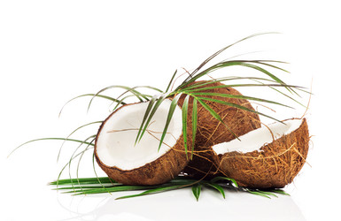 Similar image 7824407