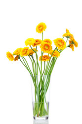 Similar image 7824408