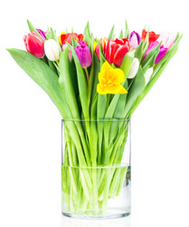 Similar image 7824414